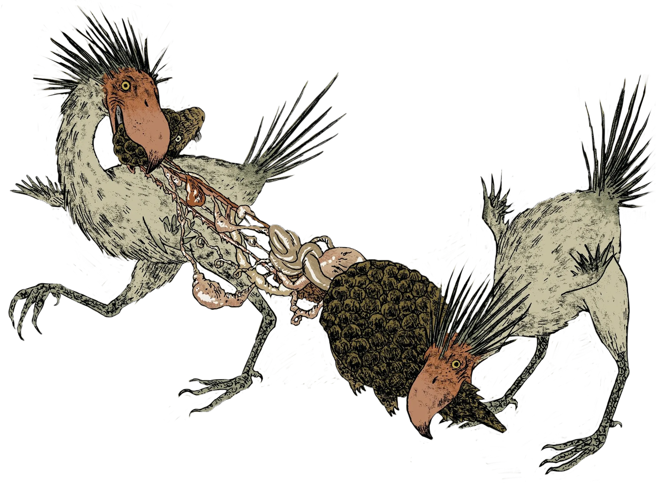 oiseaux terreur qui mange