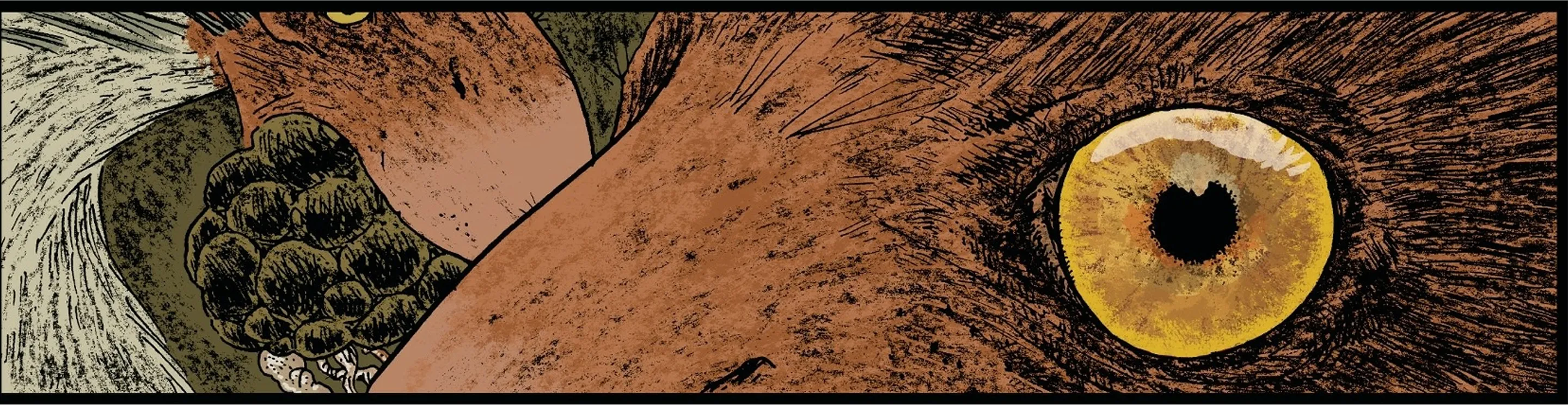 oeil oiseaux terreur